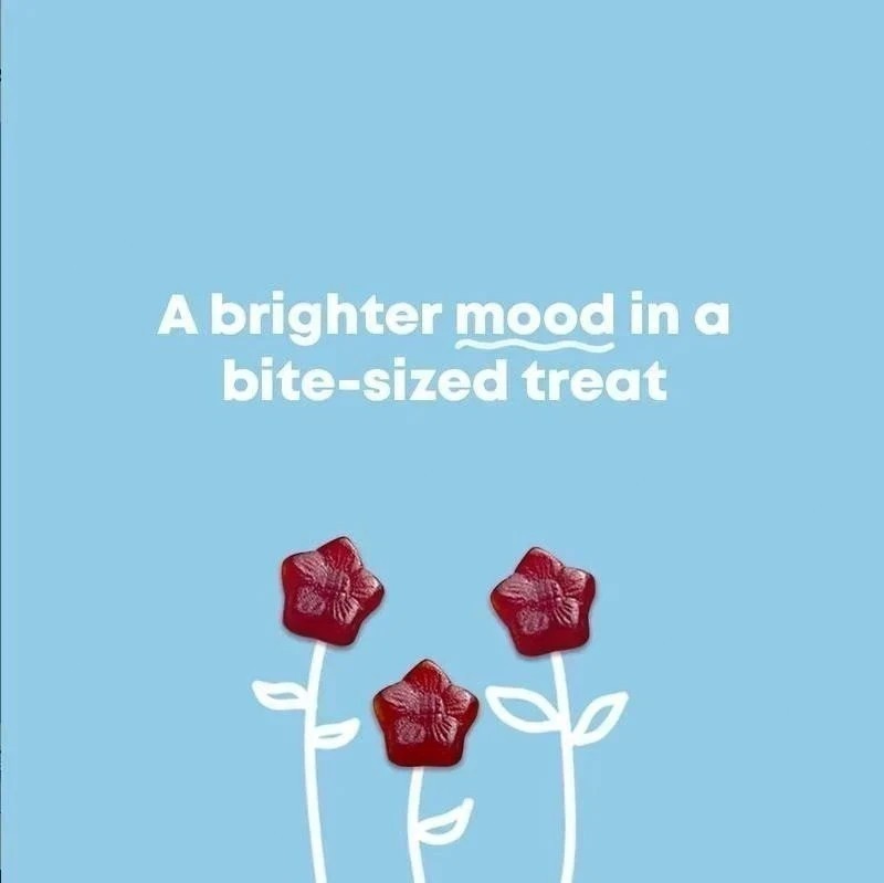 NEW 3PCS JoySpring Mood Munchies | Saffron Gummies for Mood & Focus Support