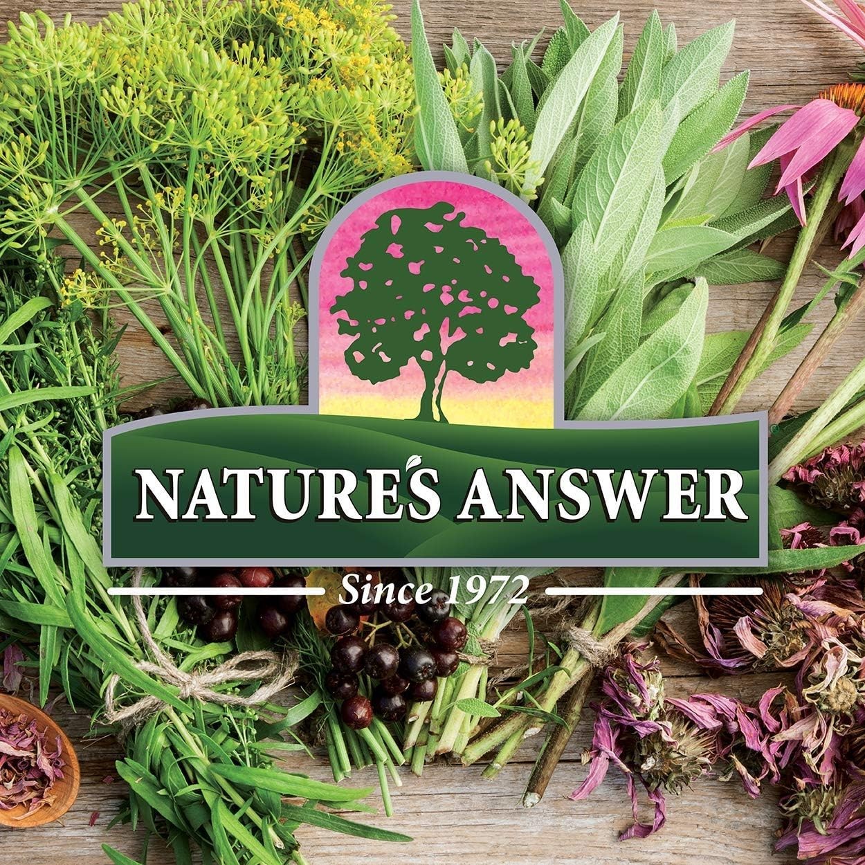 Super Concentrated Horsetail Herb | Gluten-Free & Alcohol-Free | 30 Servings