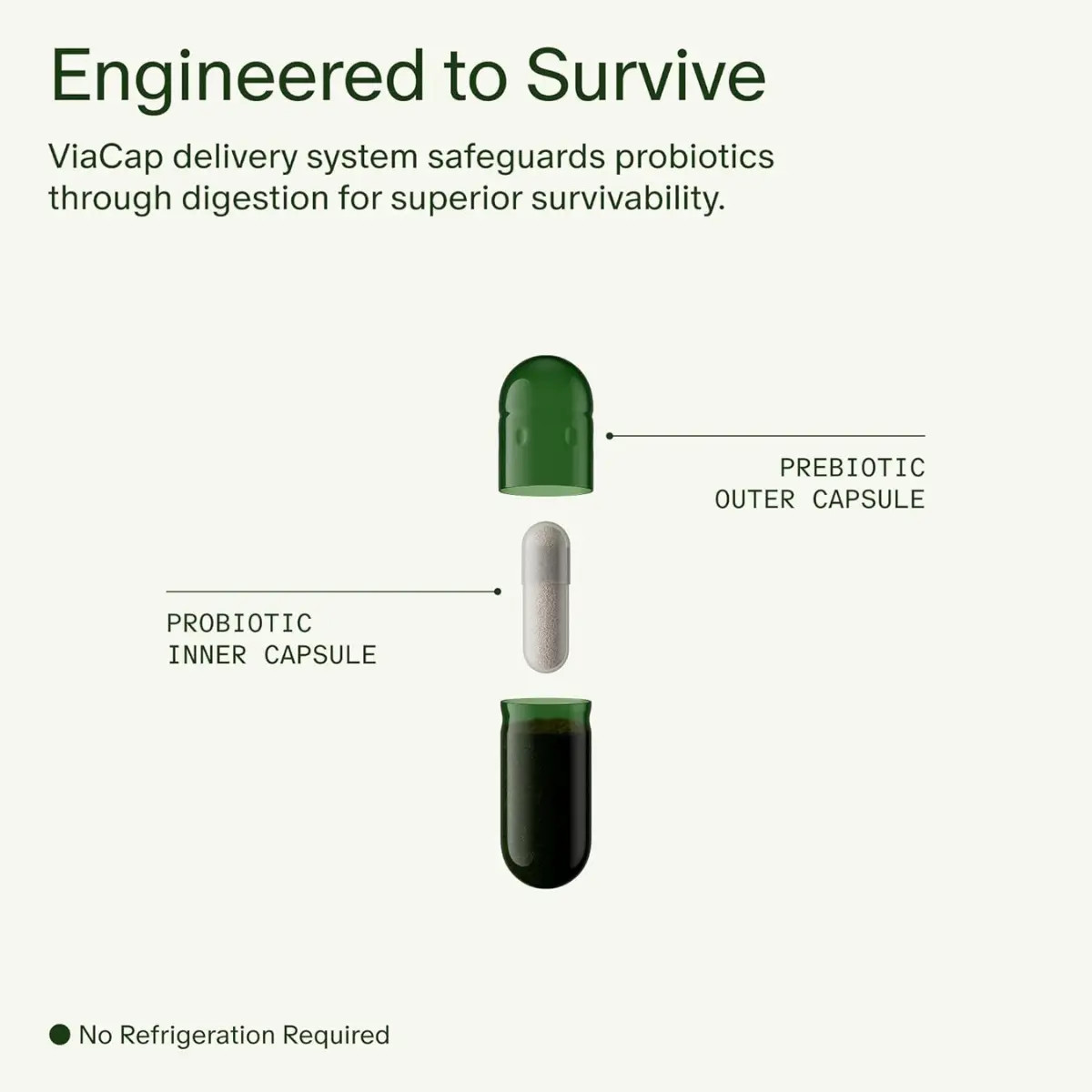 Seed Daily Synbiotic – Digestive & Gut Health – Immune Support – 60ct