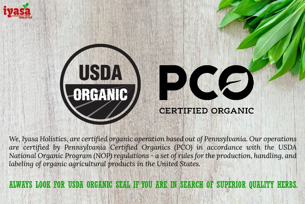 Organic Beet Root Powder (Beta vulgaris) Boost Nitric Oxide 8,16oz Premium FS&H
