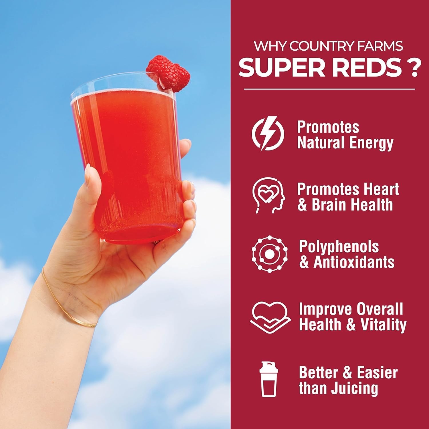 Delicious Mixed Berry Super Reds – 40+ Antioxidants, 100% , Energy Support