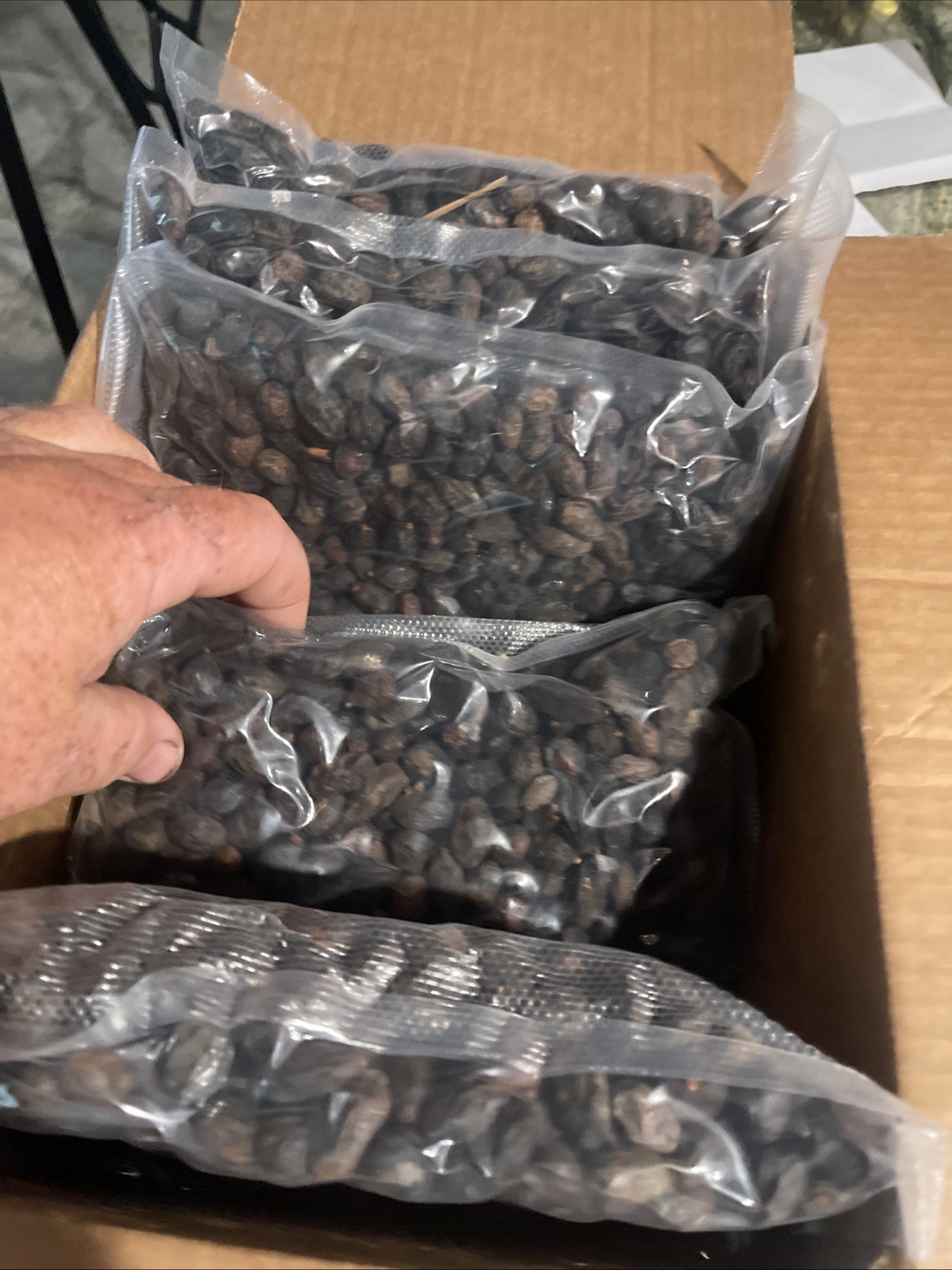 10 Lbs Dried Saw Palmetto Berries