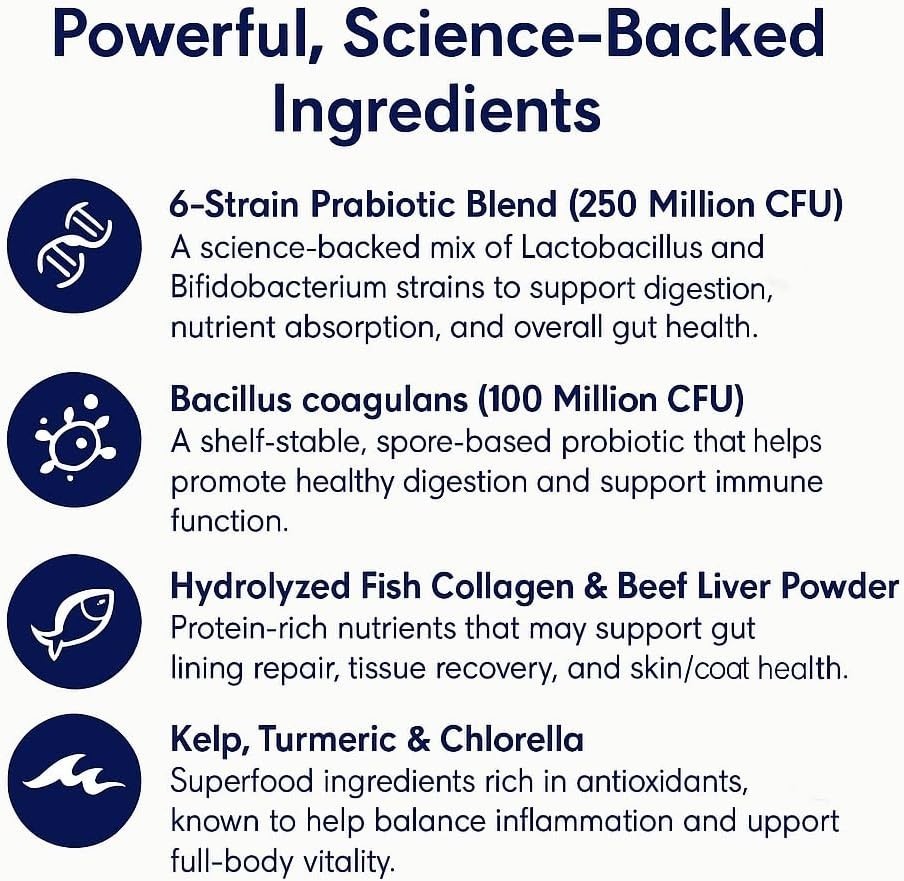 (3-Pack) Blisso Advanced Cat Probiotic Drops – Digestive Support Liquid Drops US