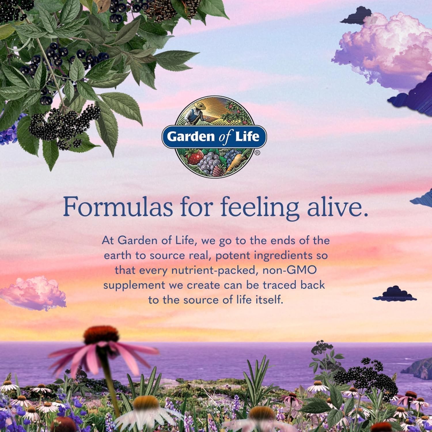 Organic Multivitamin for Women 40+ – 120 Caplets for Daily Vitality