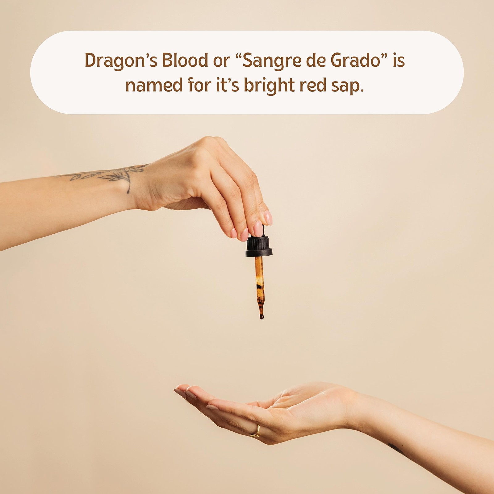 Dragon’s Blood Resin Pure Raw Sangre de Grado 1 Oz Wild Crafted No Alcohol