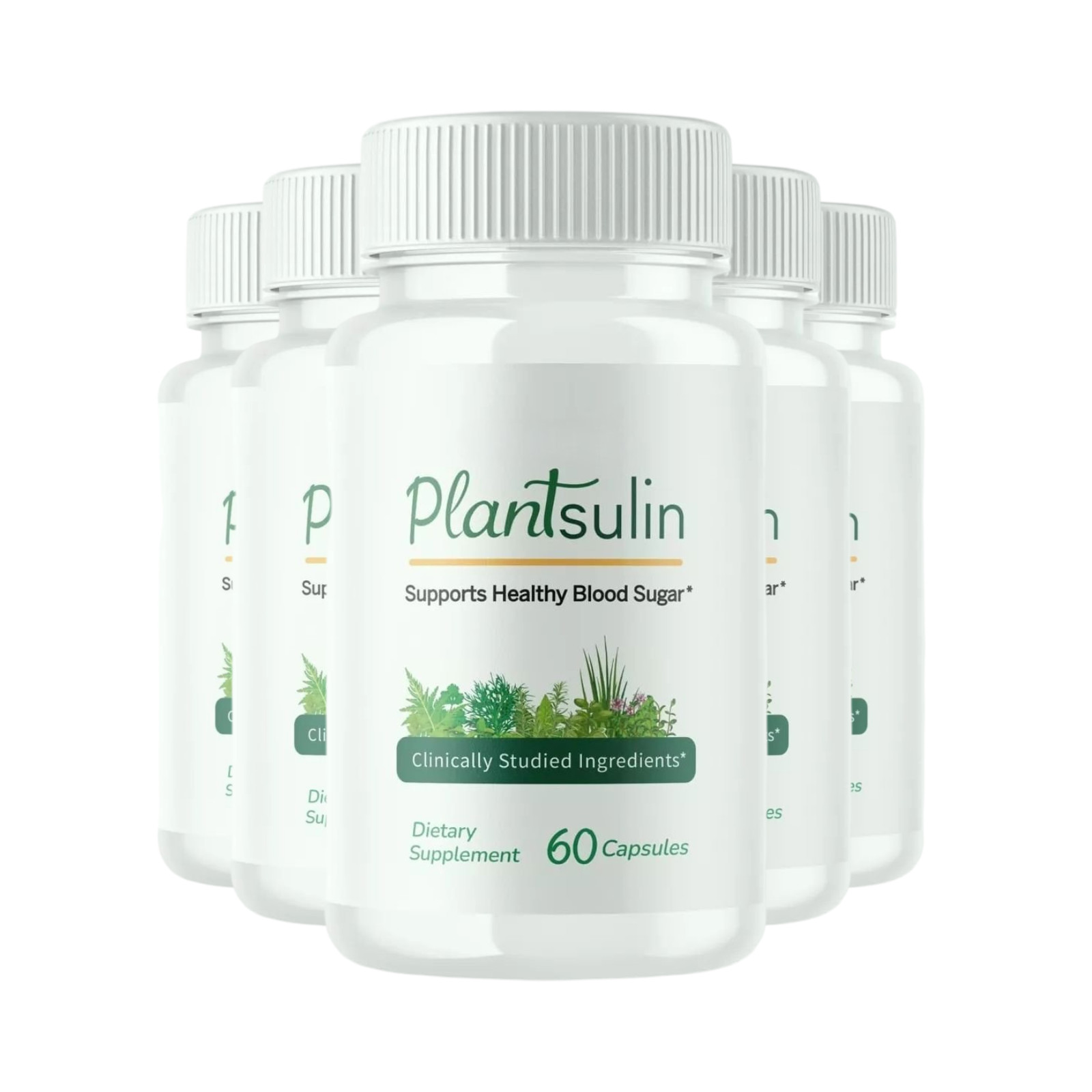 5-Pack Plantsulin for Immune Defense Support and Weight Loss – 300 Capsules
