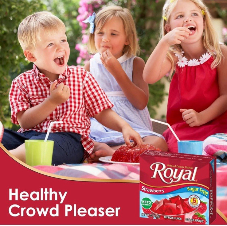 Royal Gelatin Sugar Free ORANGE Flavor Pack of 12 Boxes