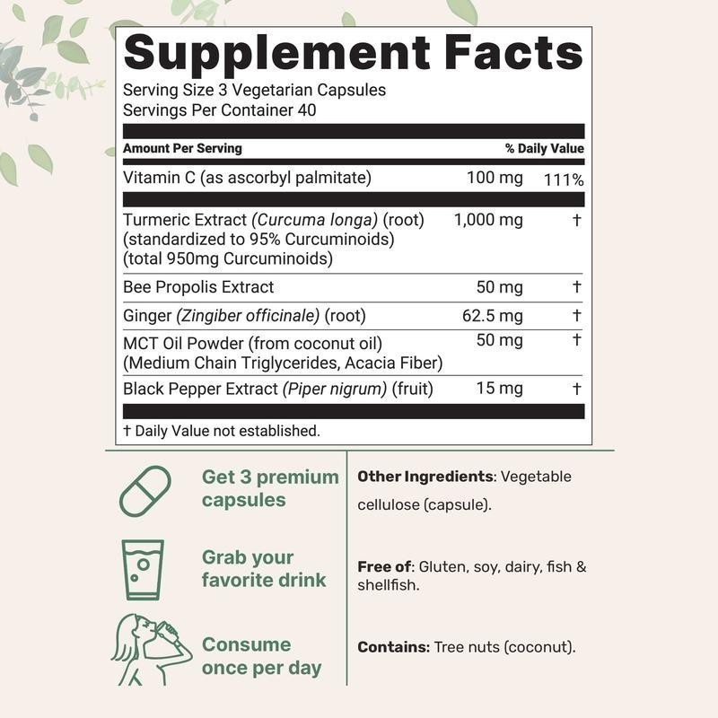 2 PACKS Pure Turmeric Curcumin Supplement 1,000mg | 95% Curcuminoids | 120Veggie