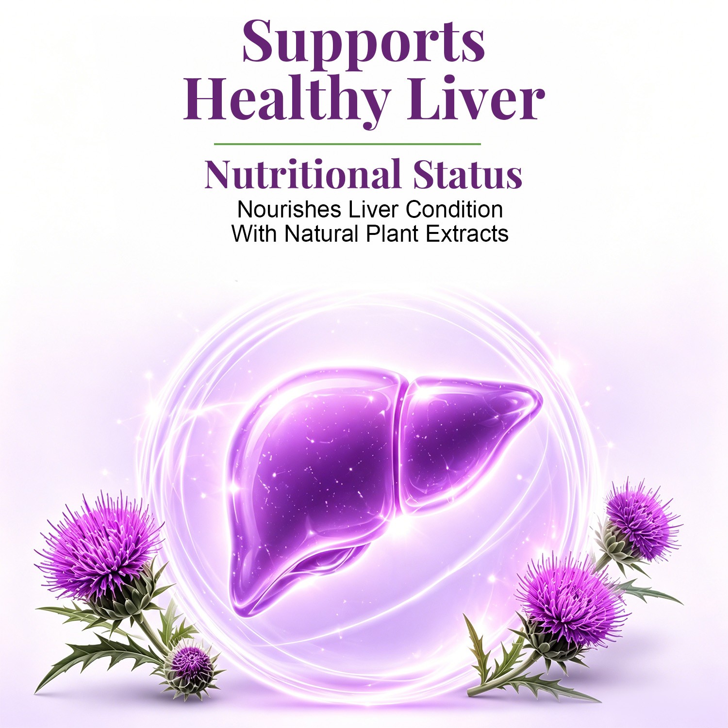 Milk Thistle Liver Cleanse Detox Herbal Liver Support Supplement 120 Capsules