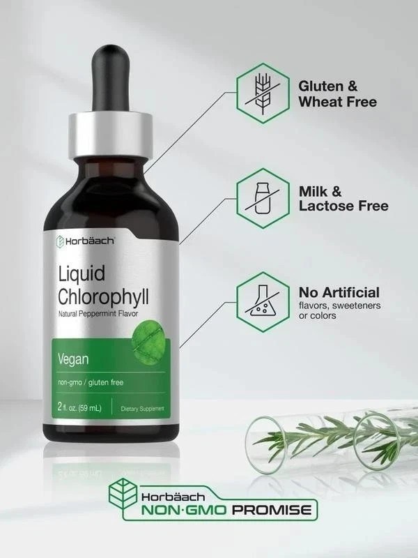 Non-GMO, Liquid Chlorophyll Drops 2 oz by Horbaach, Natural Peppermint Flavor
