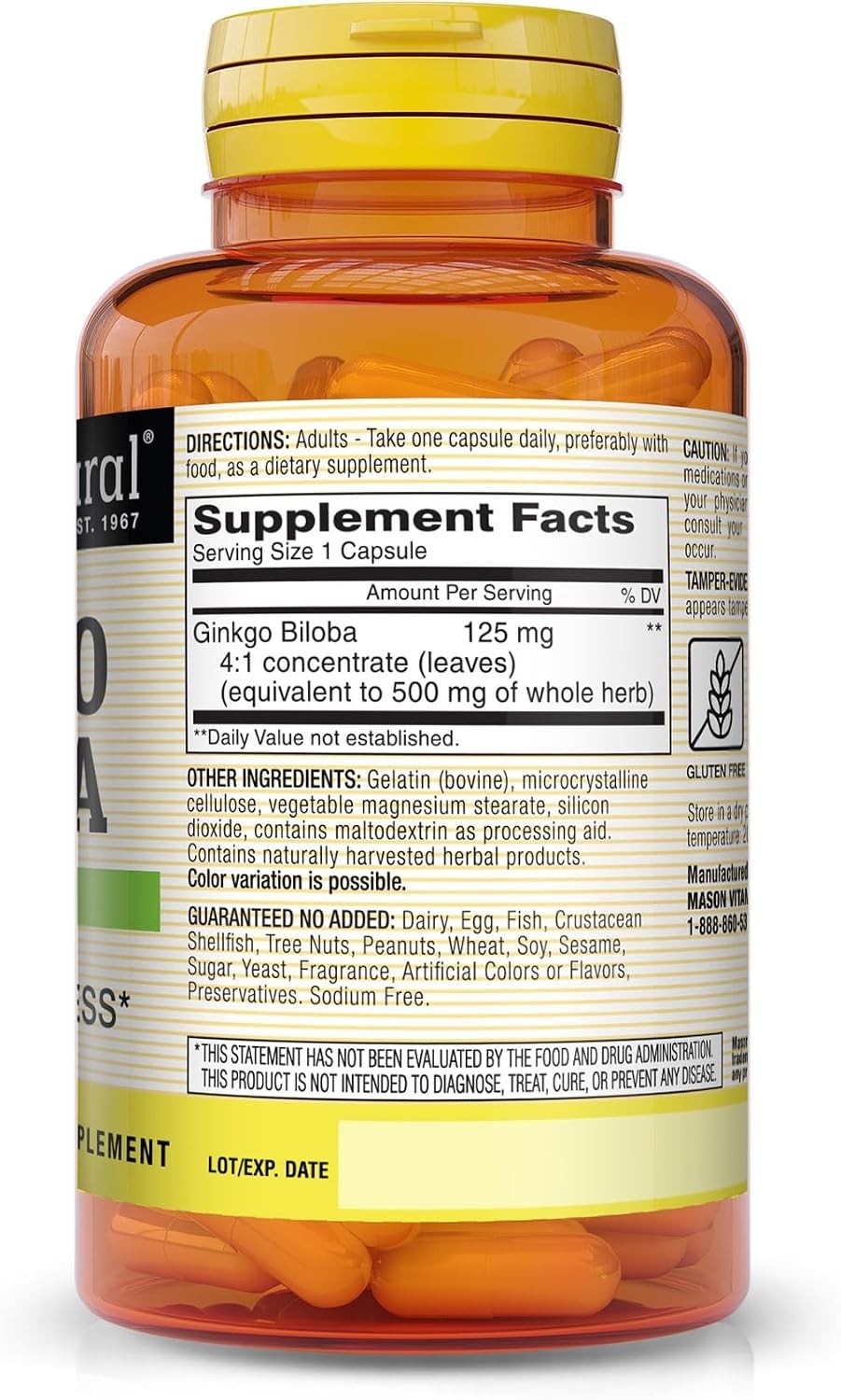 High Potency Ginkgo Biloba Capsules 125 mg for Memory & Concentration – 90 Count