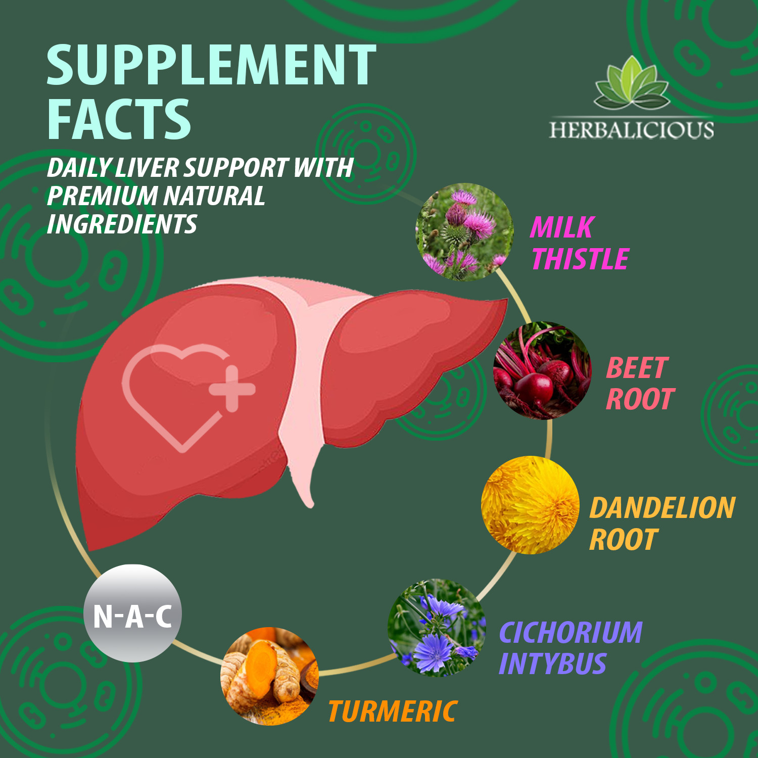 4oz Liver Support NAC Liquid Formula with NAC, Milk Thistle, Dandelion, Turmeric
