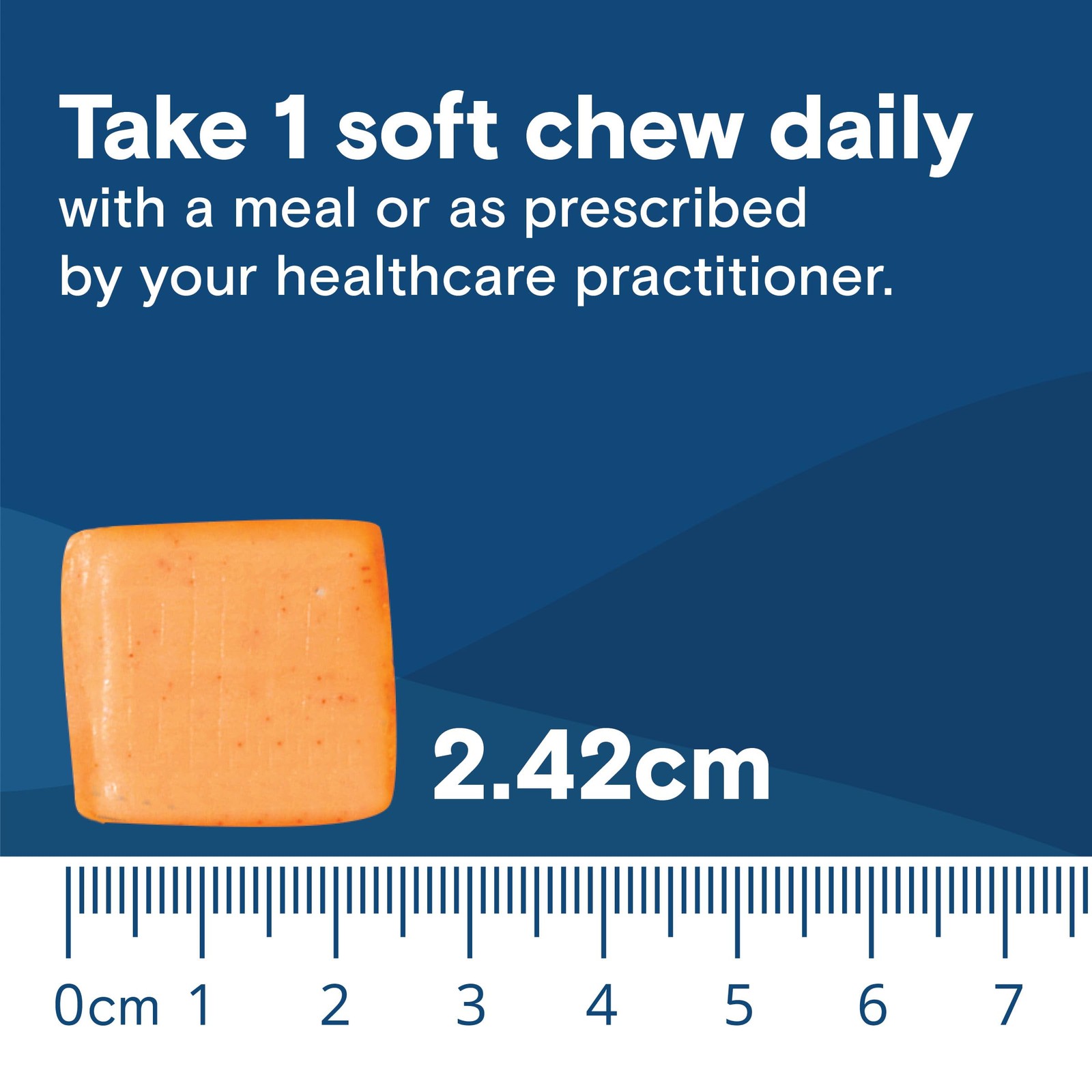 Probiotic Soft Chews Bacillus Coagulans 10 Billion CFU Orange Tropical 60 Count