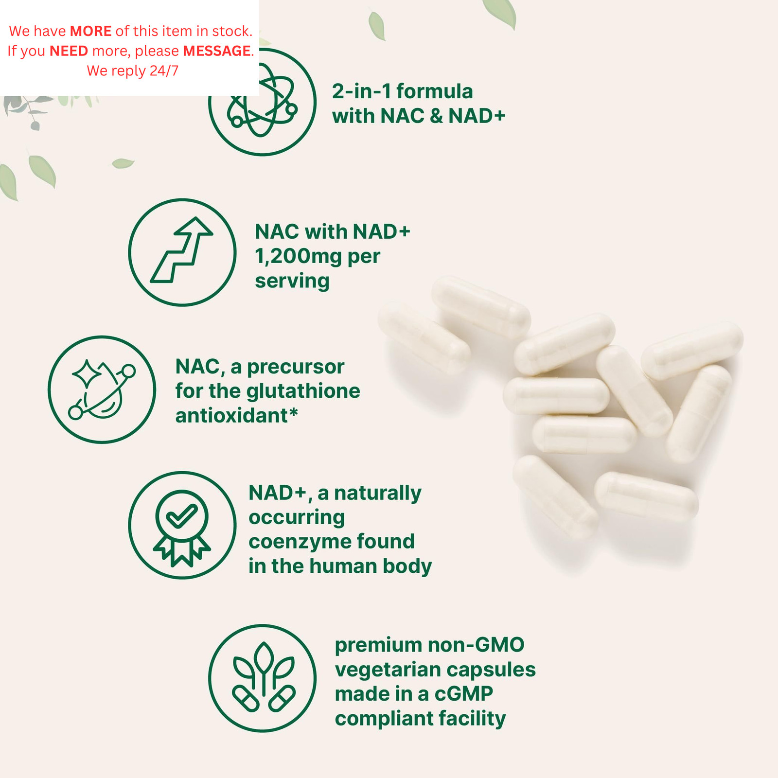 Micro Ingredients NAC with NAD+, 240 Vegetarian 240 Count (Pack of 1)