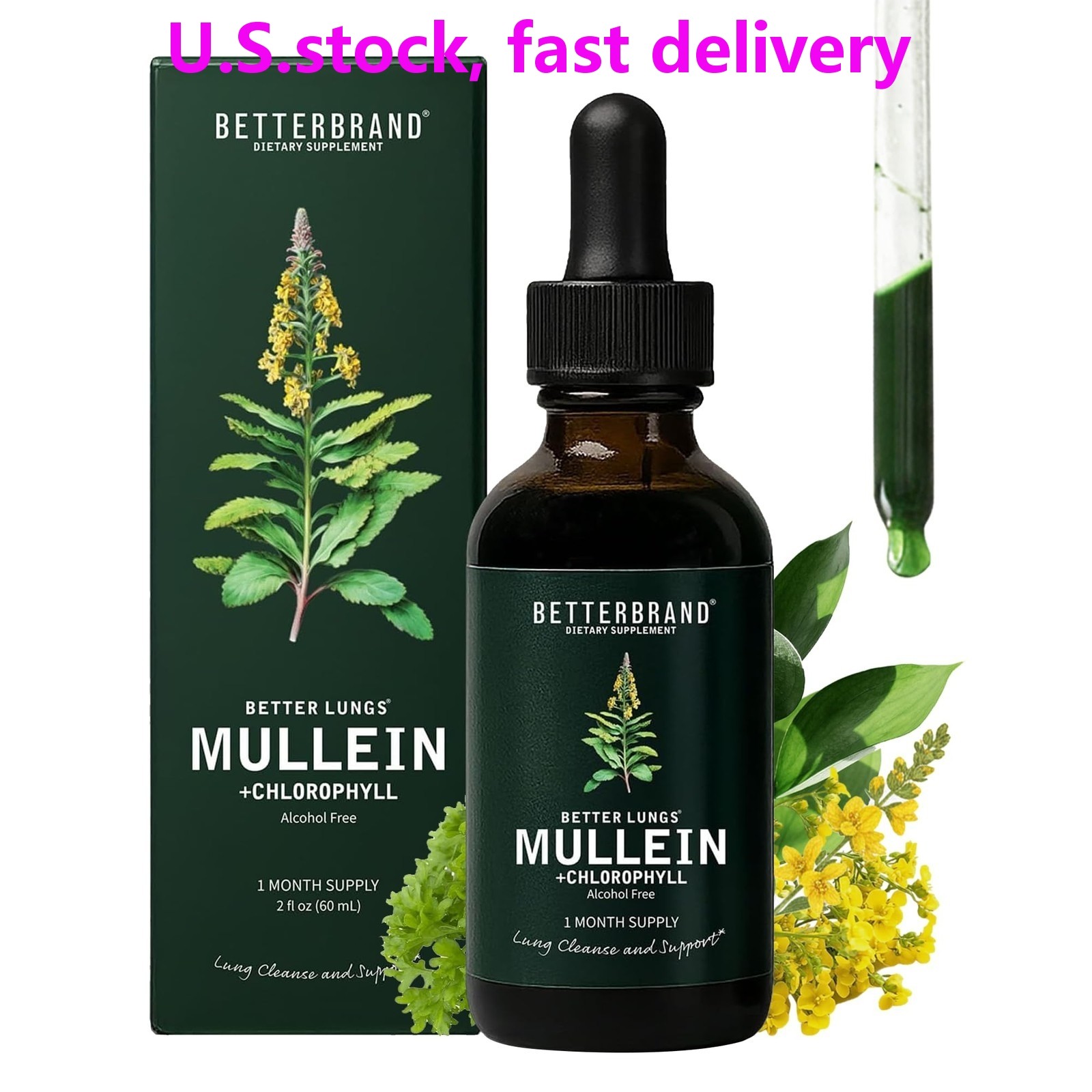 Mullein Leaf Tincture with Chlorophyll 60ml Betterbrand Drops Lung Detox Helps