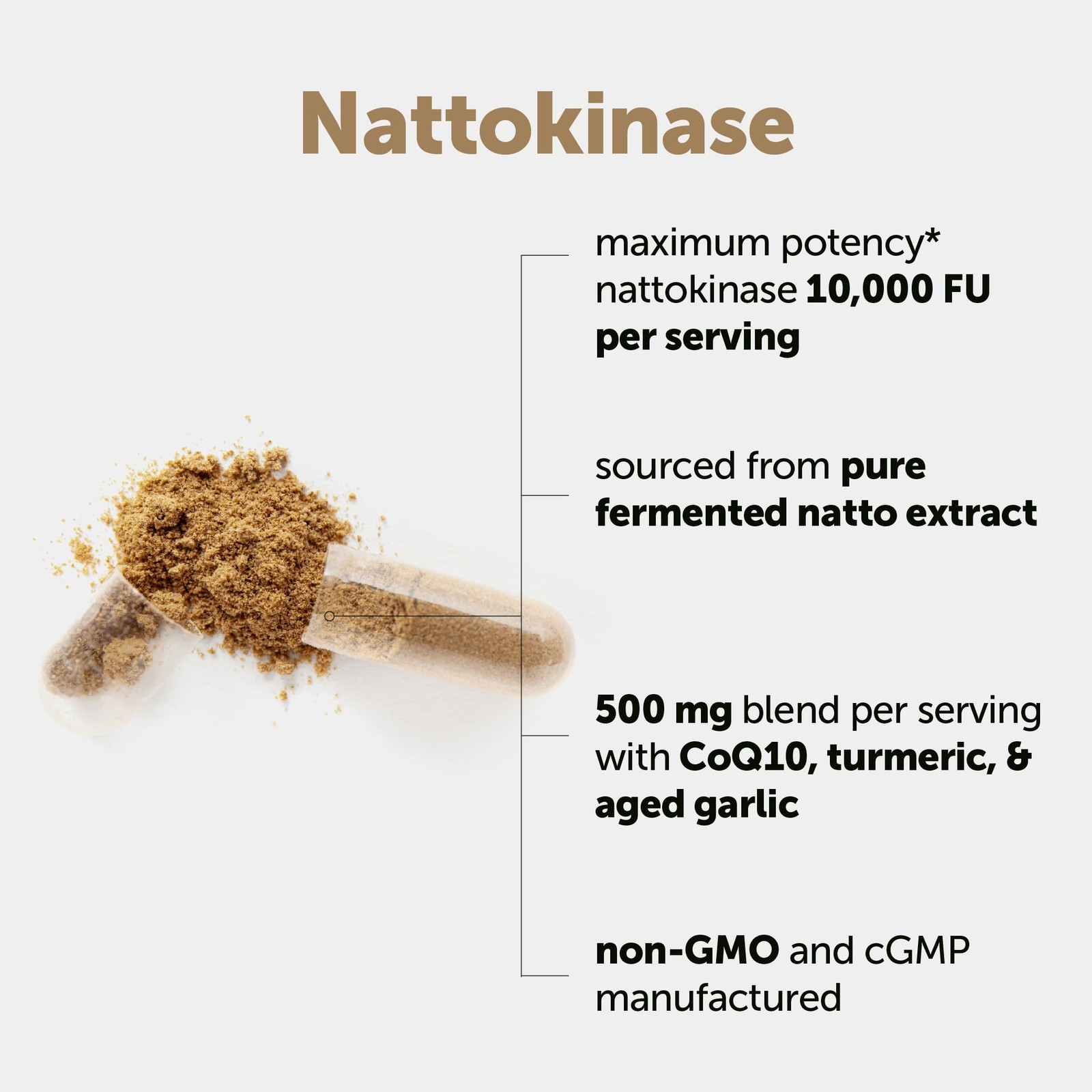 Micro Ingredients Nattokinase 10,000 FU Per Serving 240 Count (Pack of 1)