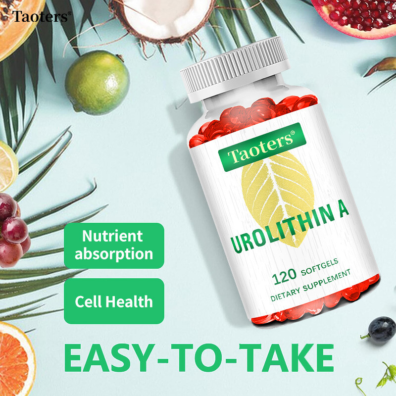 Urolithin A Supplements Improve Muscle Endurance Overall Health 120 Pills US