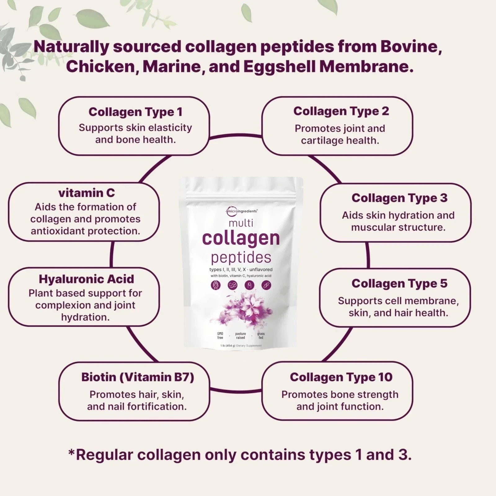 Micro Ingredients Multi Collagen Peptides Powder 16oz – Type I II III V X