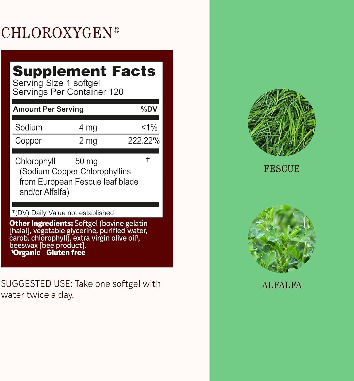 Chlorophyll Softgels for Daily Detox & Energy Boost – 120 Capsules, Natural Form