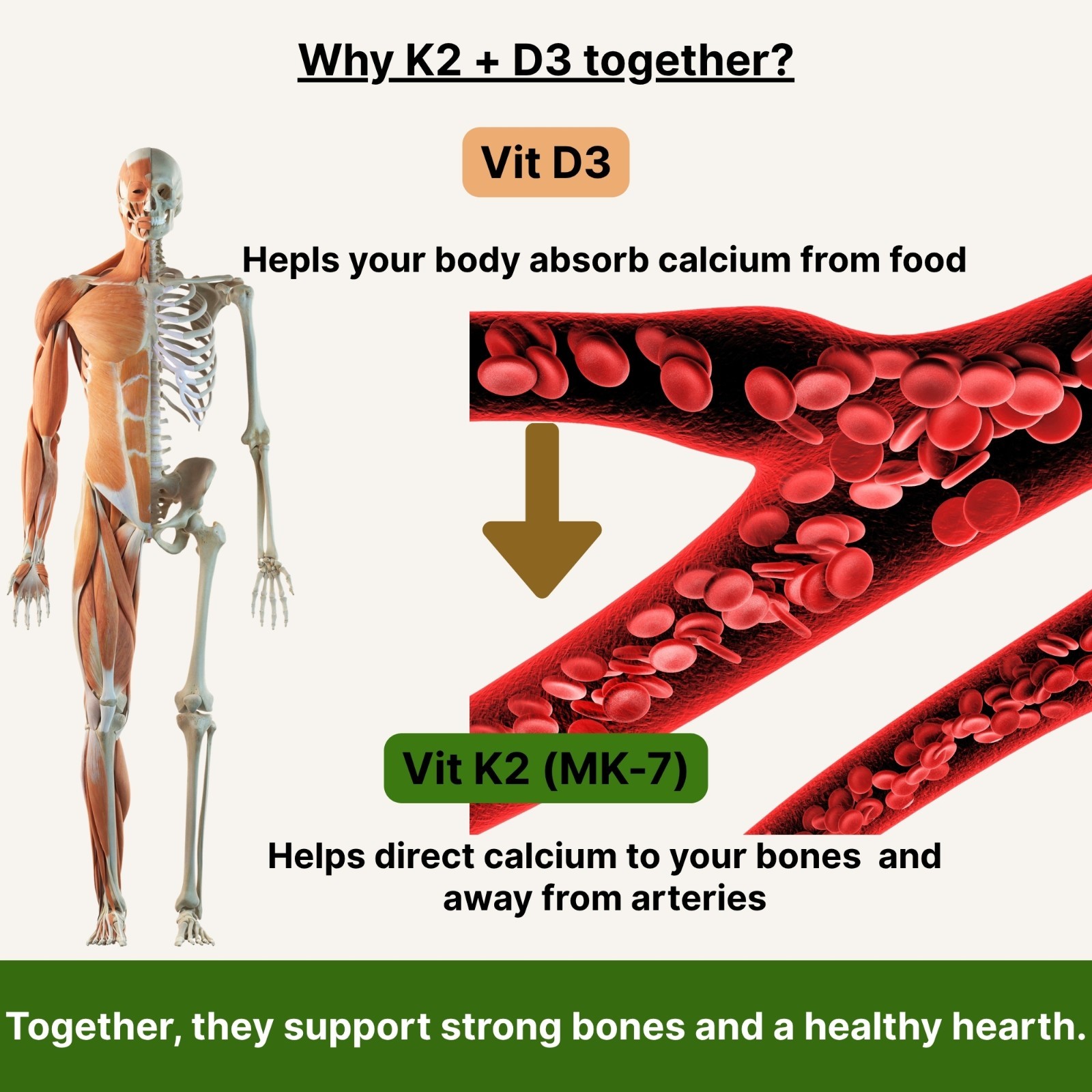Vitamin K2 + D3 with BioPerine | Bone, Heart & Immune Support | 60 Capsules