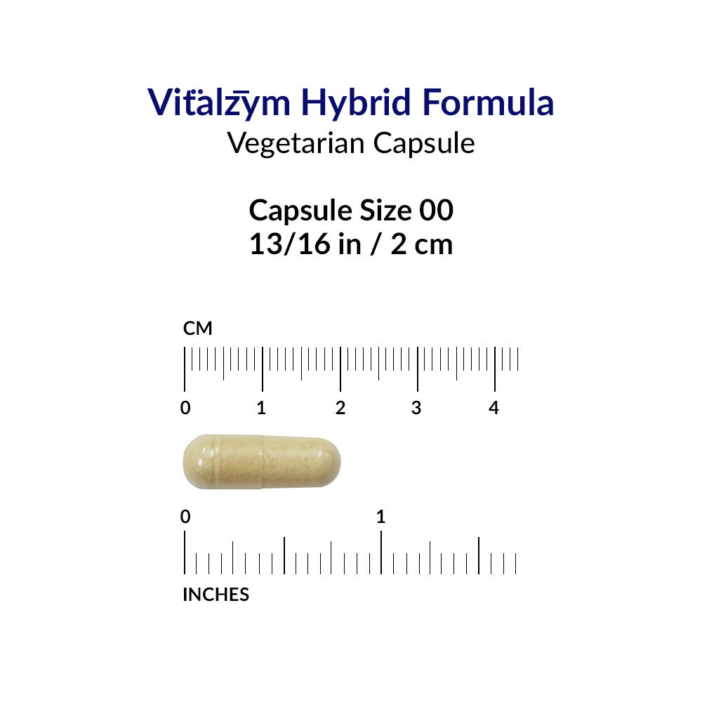 Vitalzym Systemic and Digestive Enzyme Formula 450 Caps – World Nutrition