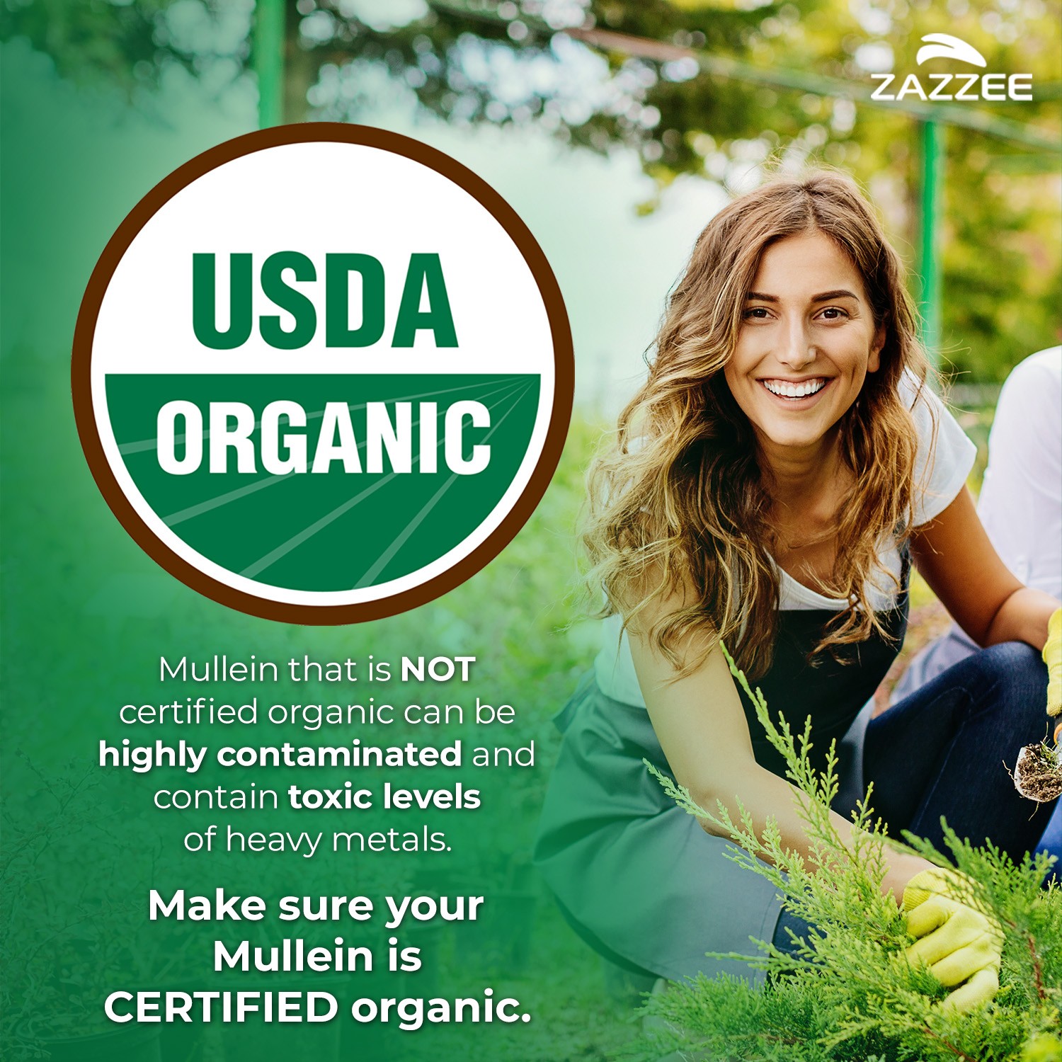 Zazzee USDA Organic Mullein 10:1 Extract, 3000 mg Strength, 120 Vegan Capsules