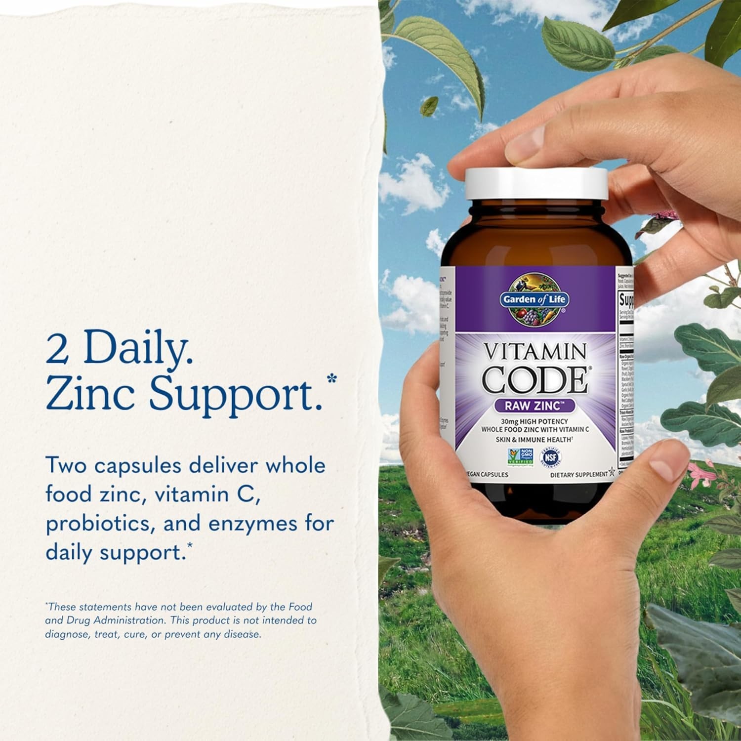 Garden of Life Raw Zinc 30mg with Vitamin C – Whole Food Immune & Skin Supplemen