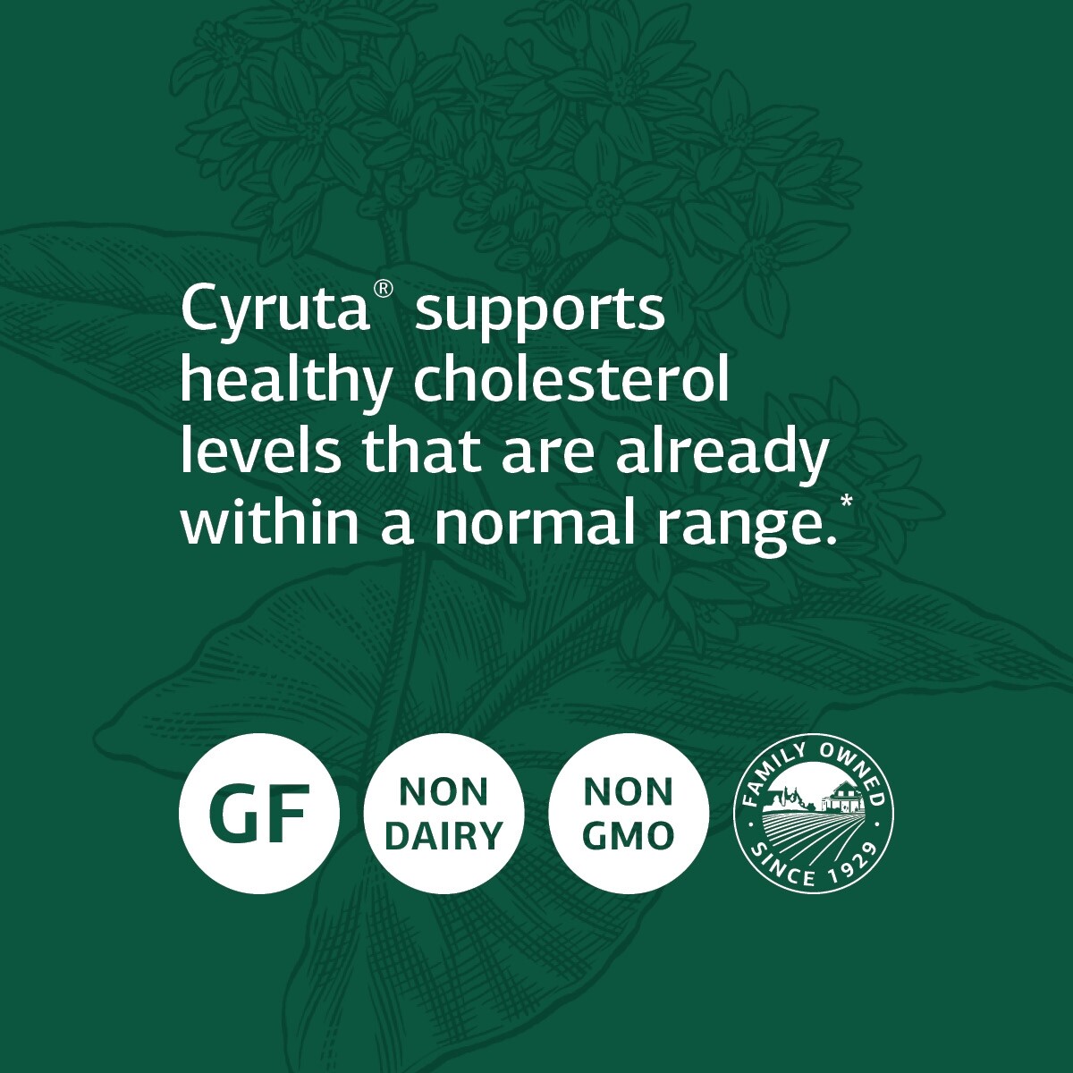 Standard Process Cyruta Whole Food Cholesterol Support, 90 Tablets