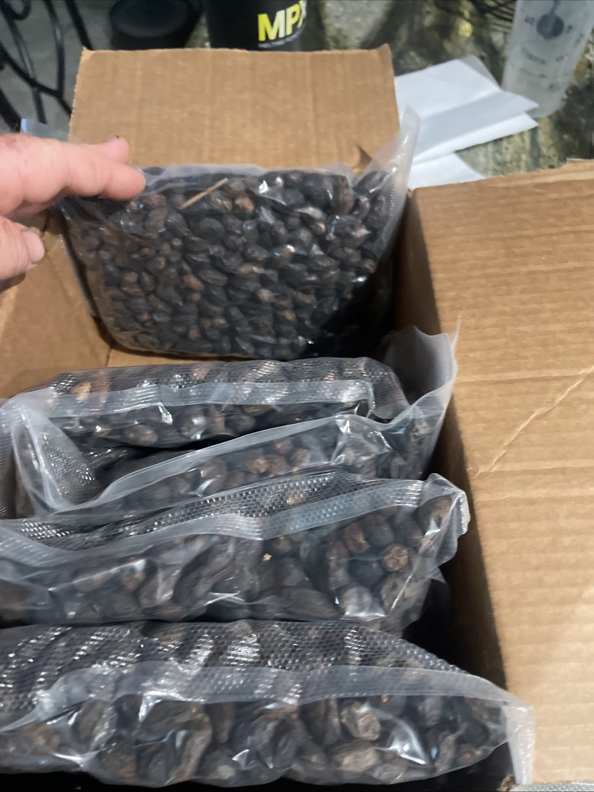 10 Lbs Dried Saw Palmetto Berries