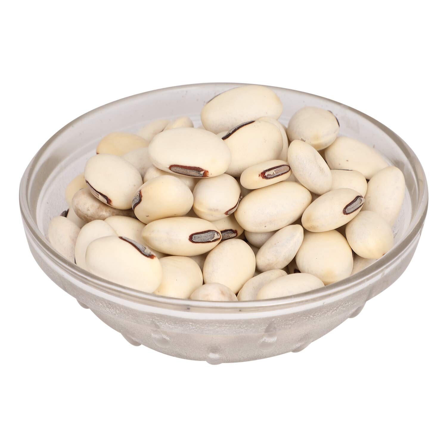 White Kaunch Seeds Mucuna Pruriens Indian Velvet Bean Konch Beej (100gm) 3.5oz
