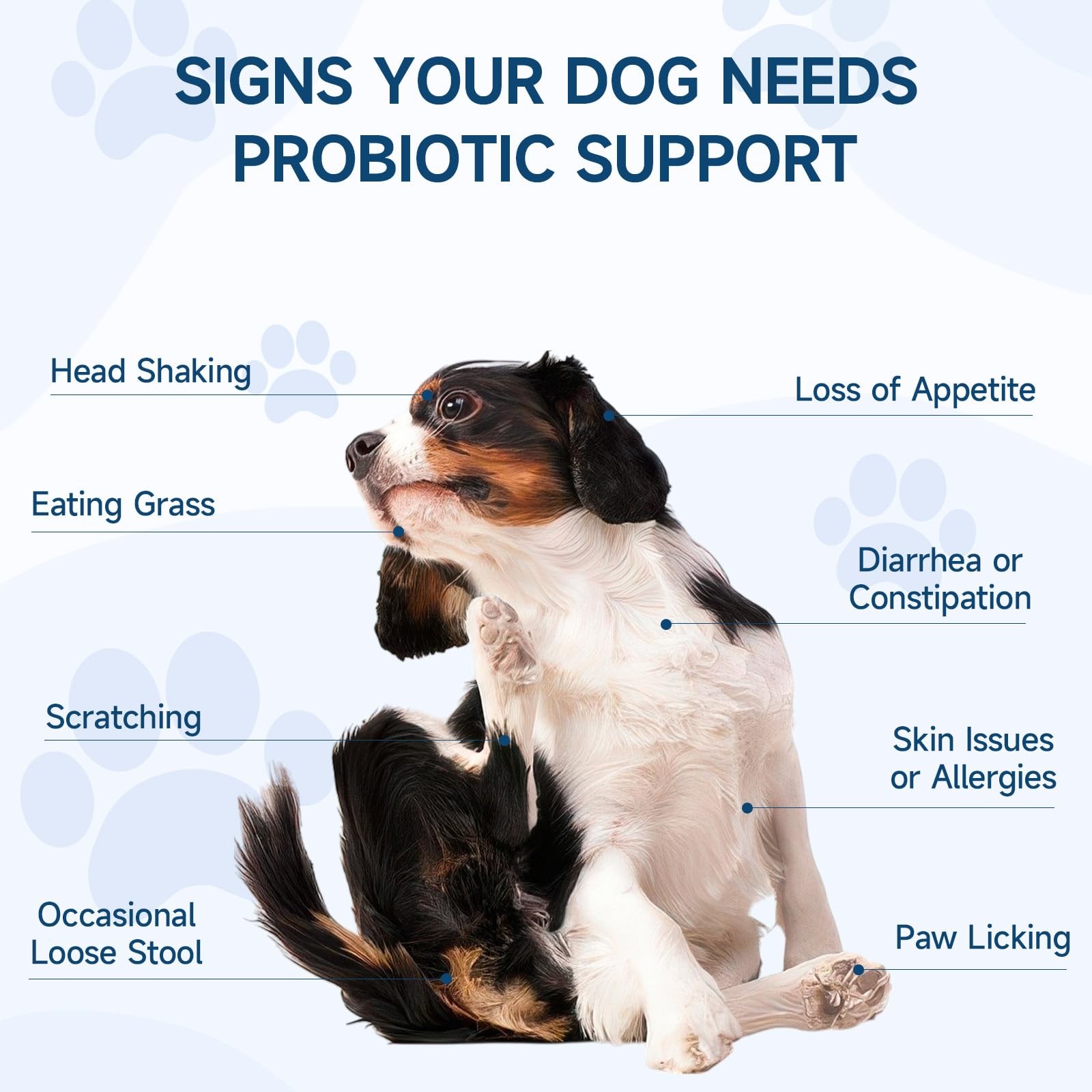 Woyamay Dog Probiotic for Dogs, 200 Soft Treats Probiotics Brown