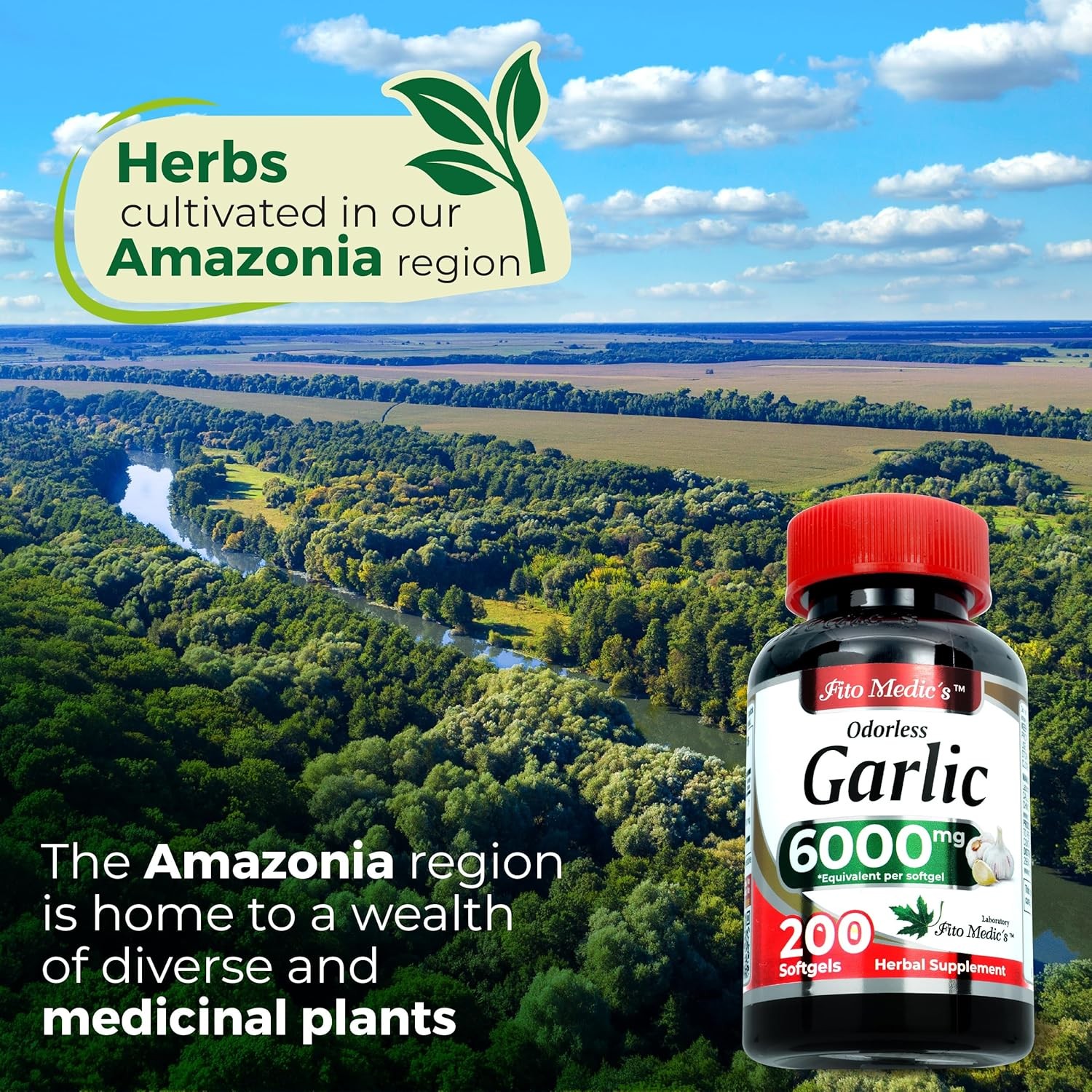 Garlic Pills 6000 mg Equivalent 200 softgels Organic Garlic 200 Softgels Garlic
