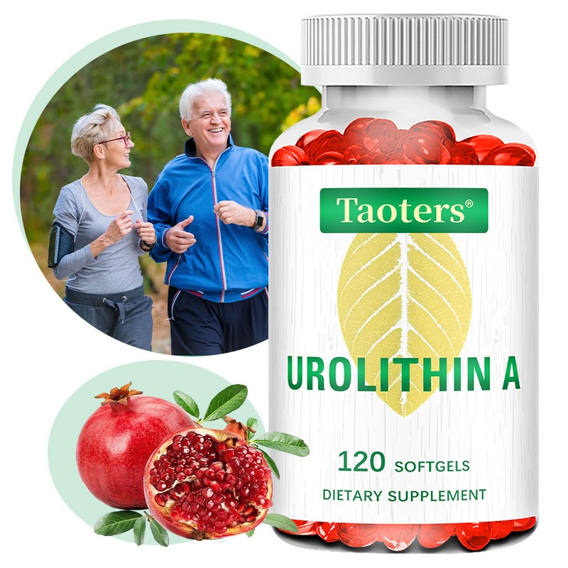 Urolithin A Supplements Improve Muscle Endurance Overall Health 120 Pills US