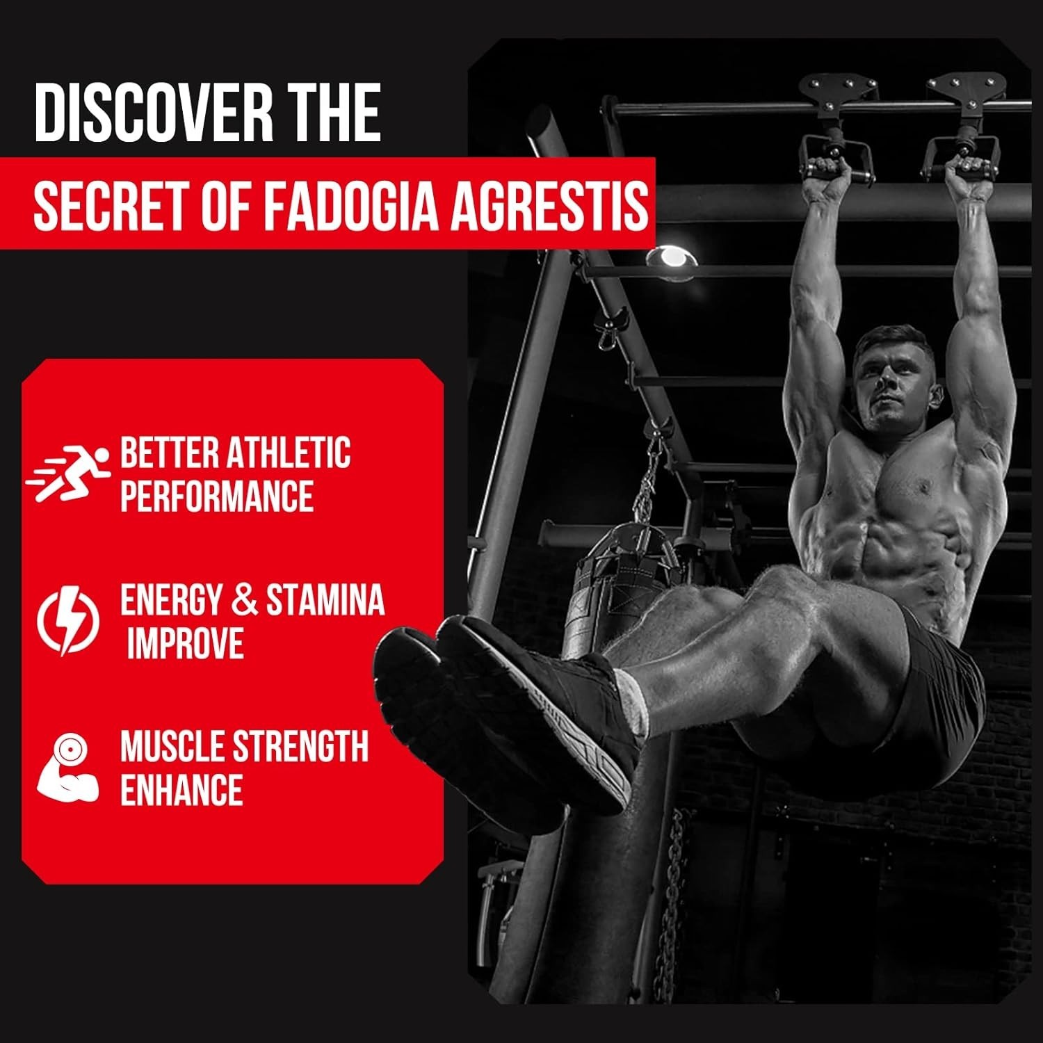 Natural Muscle Energy Booster: 1600mg Fadogia Agrestis, 60 Gluten-Free Softgels