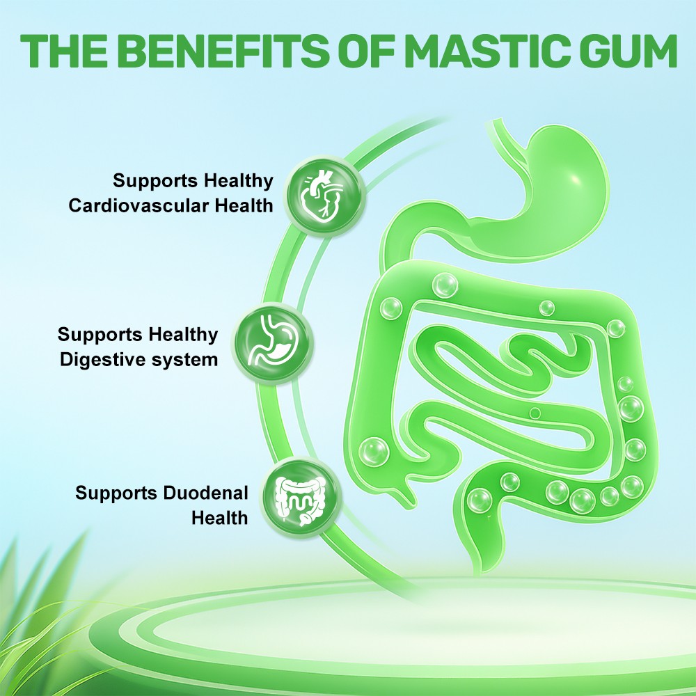 Mastic Gum Capsules 1000mg – Support Gastrointestinal Health, Digestive System