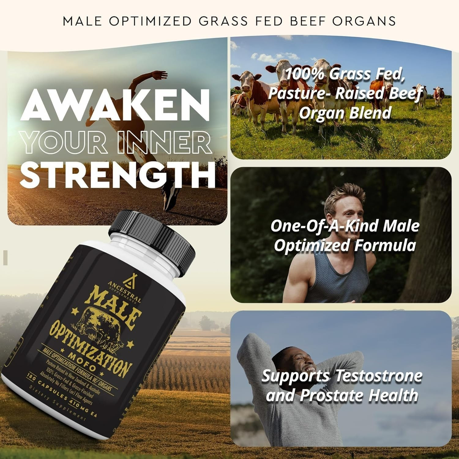 Ancestral Supplements MOFO Male Optimization Formula 180 Caps – Grass-Fed Beef