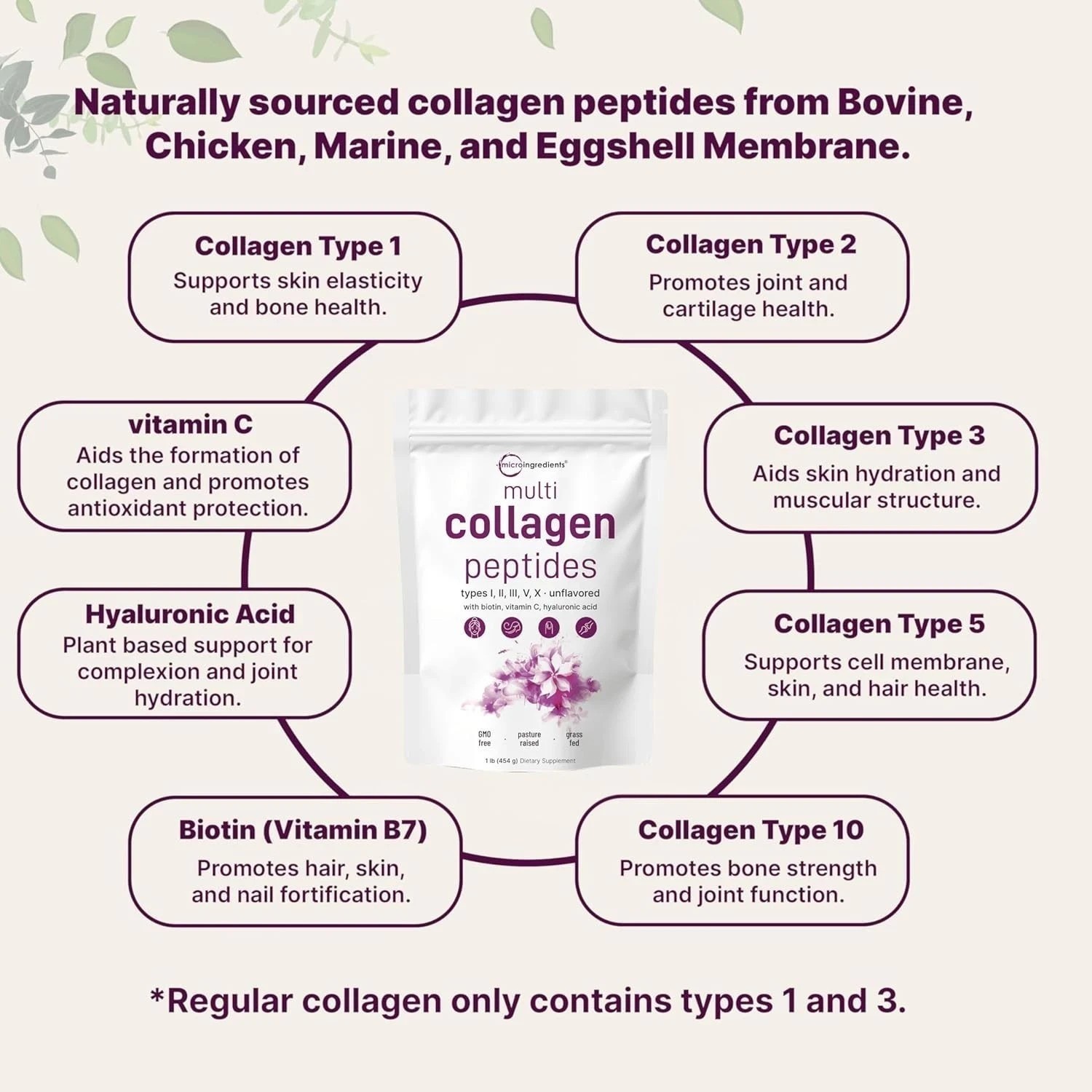3 PACK Multi Collagen Peptides Powder 1 lb Hydrolyzed Protein Peptide+