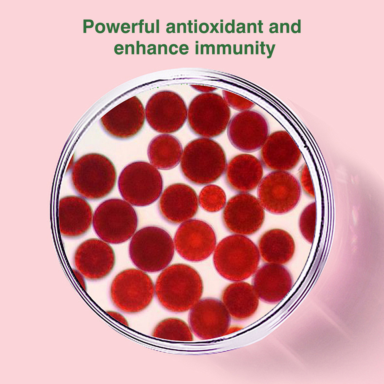 120pcs Astaxanthin – Eye, Joint, Heart and Cardiovascular Health, Lutein