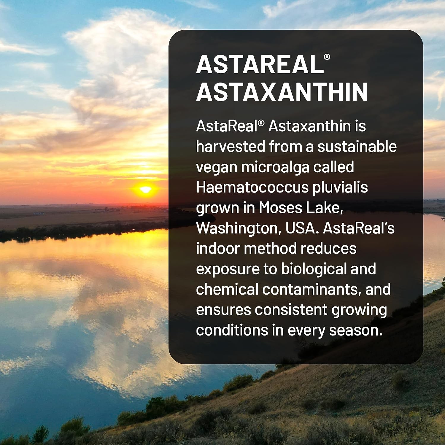 NatureWise Triple Strength Astaxanthin 12mg with AstaReal® – Vegan Antioxidant S