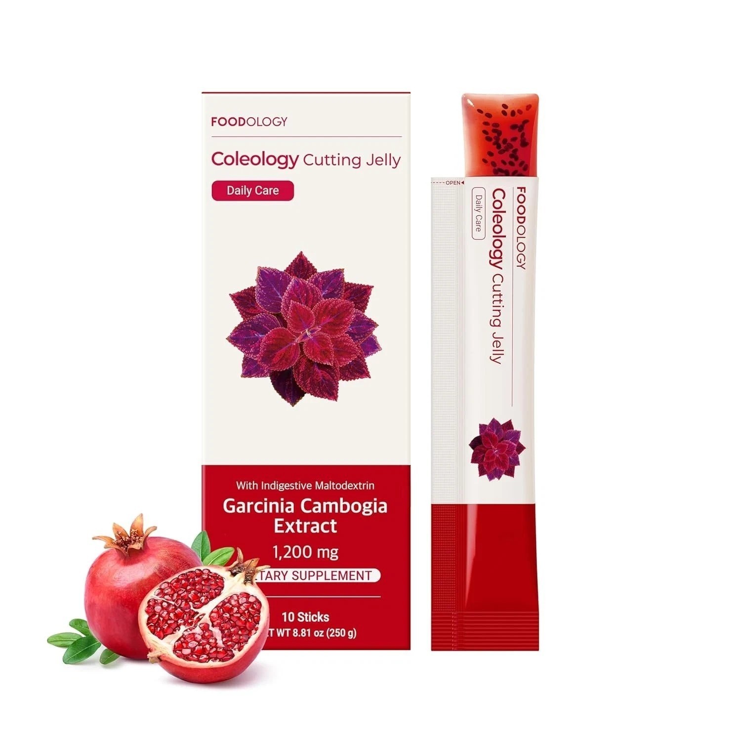 FOODOLOGY Coleology Cutting Stick – Boost Metabolism, Suppress appetite