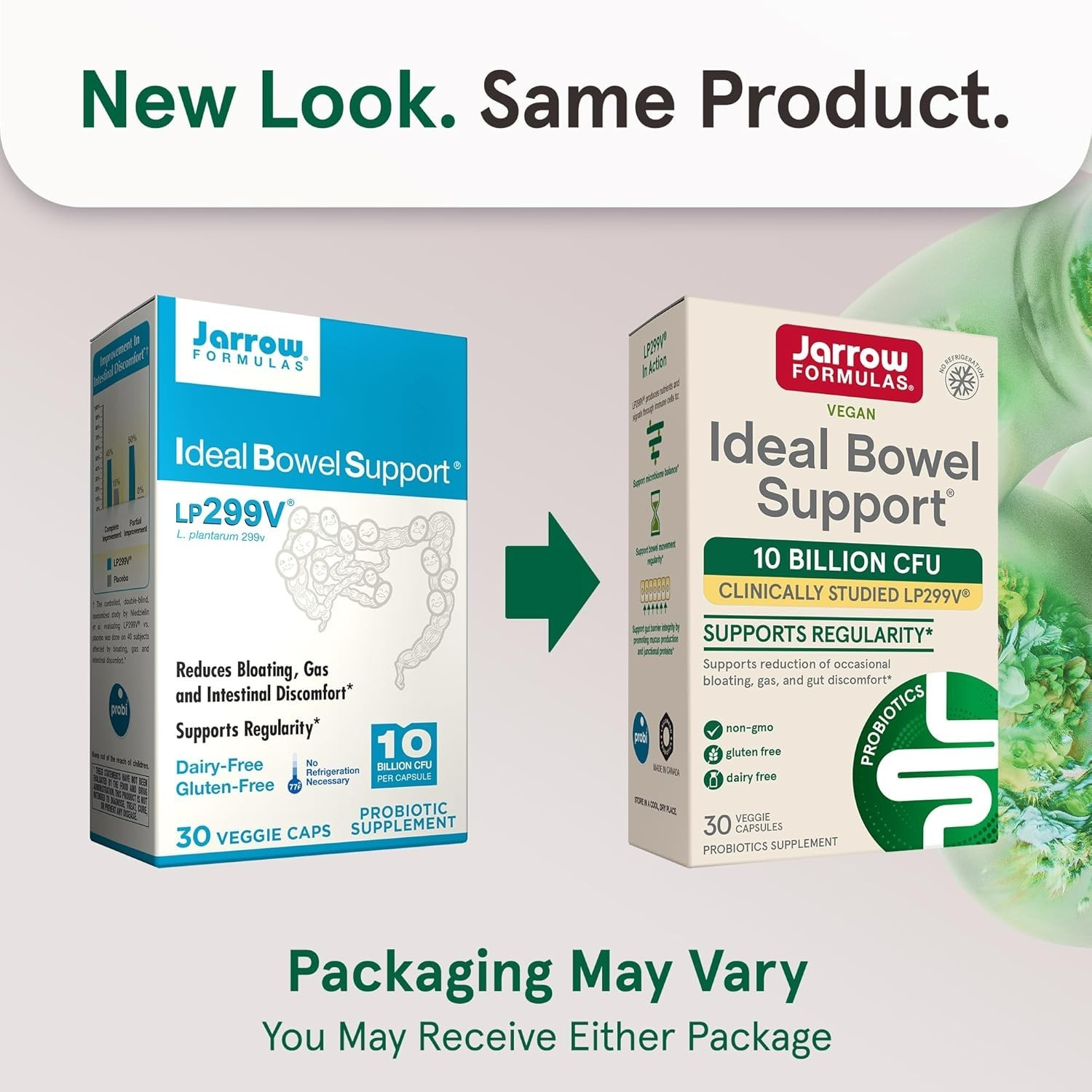 Ideal Bowel Support – 10 Billion CFU Per Serving – Bowel Support – Reduces Bl…