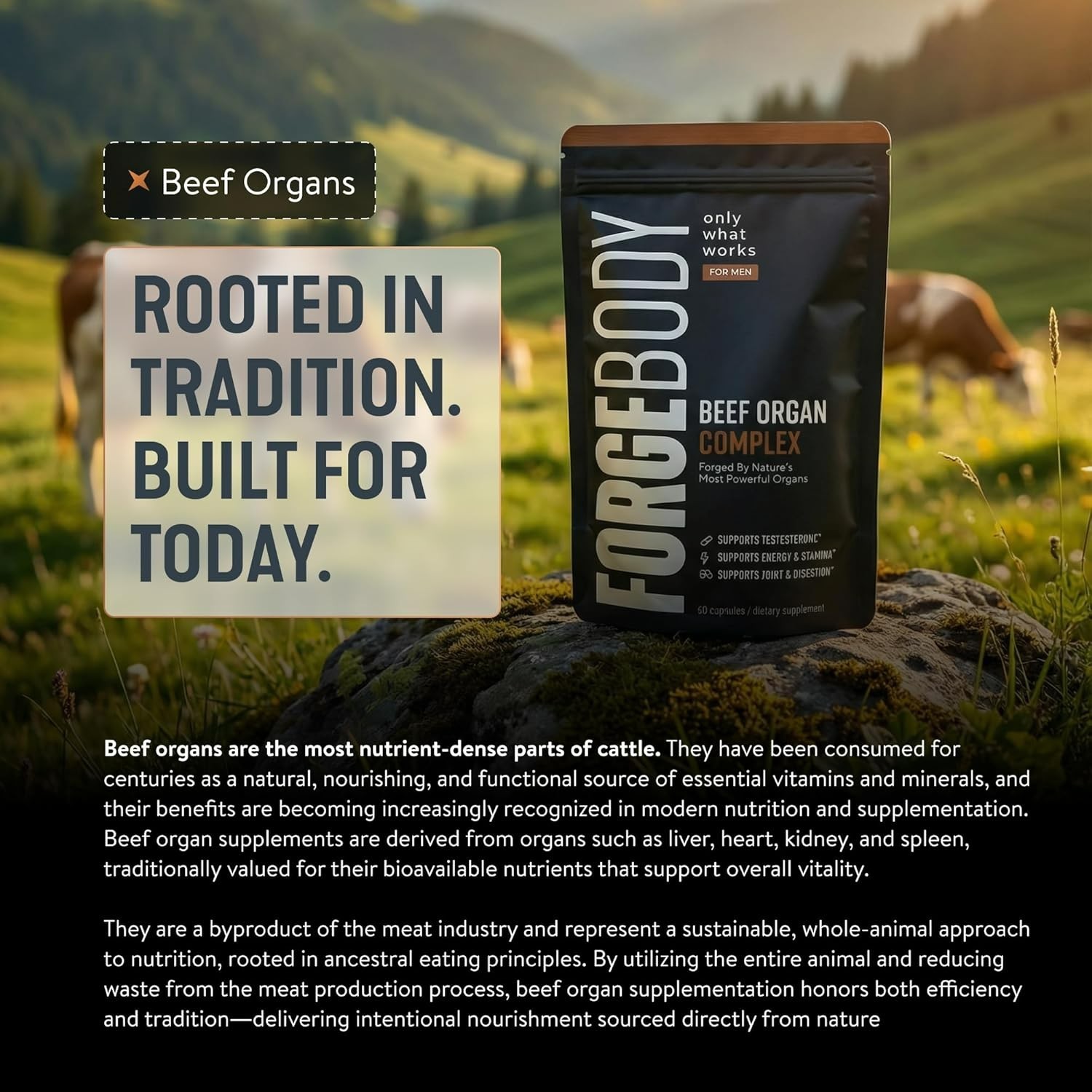 FORGEBODY® Beef Organ Complex 60 Capsules – 100% Grass Fed Beef Organ Supplement
