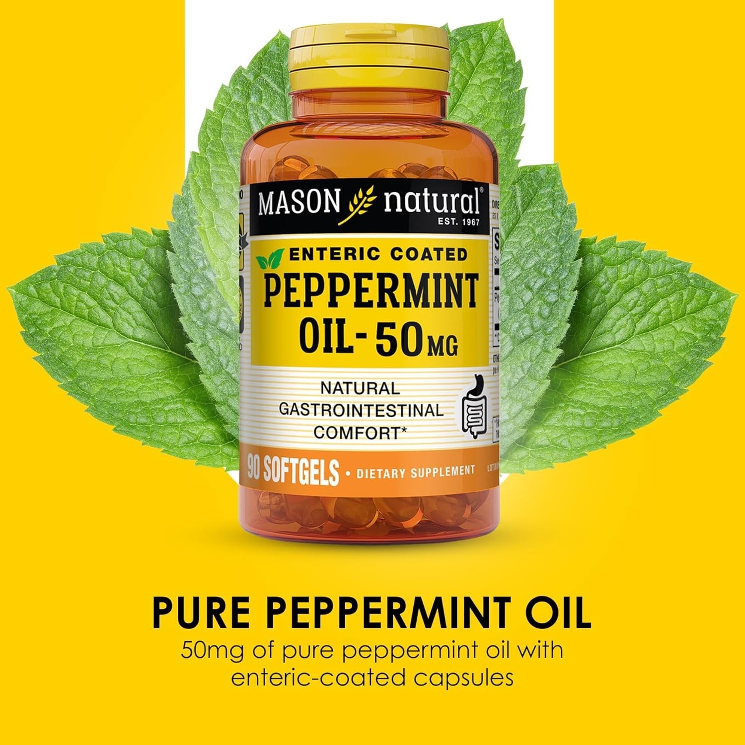 Daily Digestive Support Softgels with Peppermint Oil, 270 Easy-to-Swallow Pills