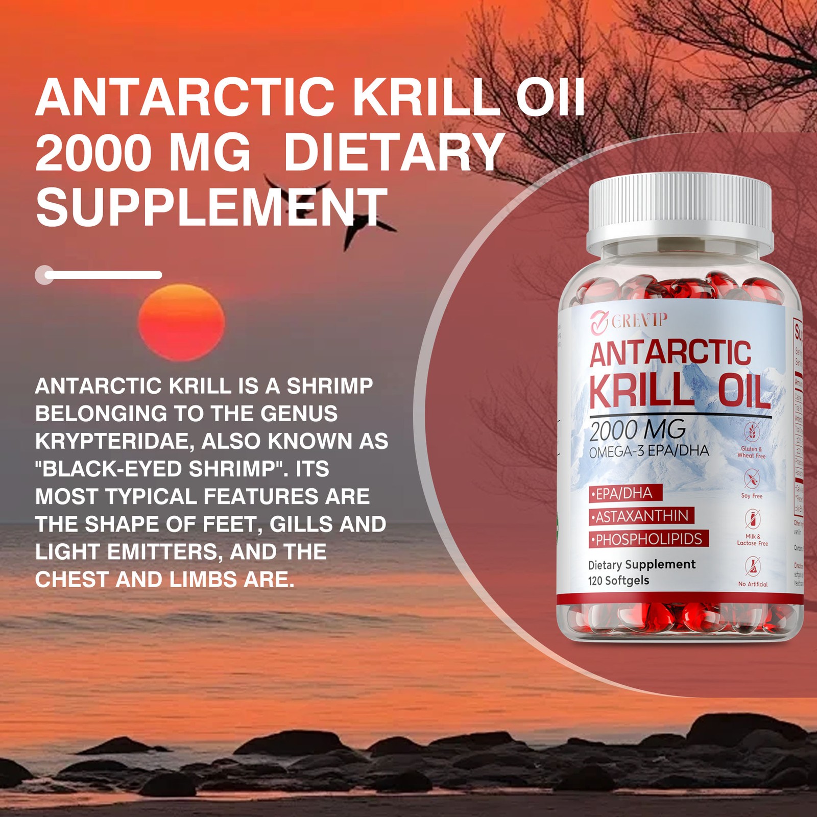 Antarctic Krill Oil -Brain Health,Anti-Aging,Improve Cardiovascular,Joint Health