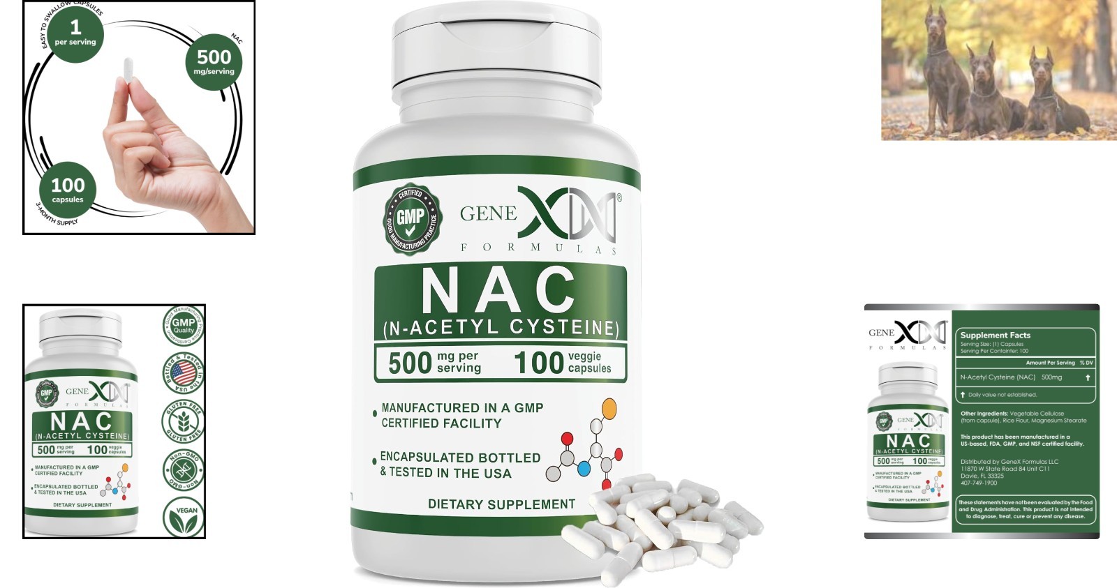 NAC 500mg Capsules – 100 Count for Liver Support – , Non-GMO, Gluten-Free
