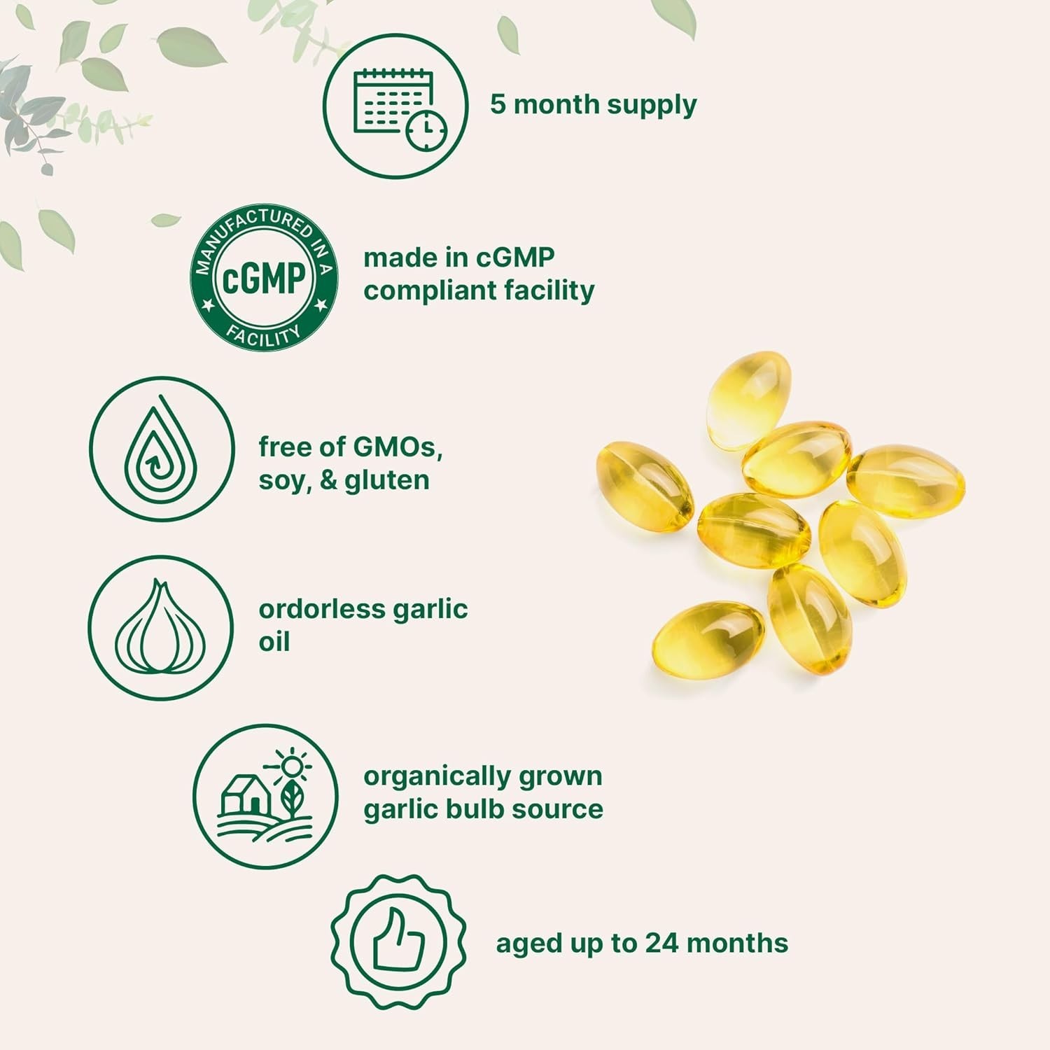 Odorless Garlic 7500mg Per Servings, 300 Softgels | 2 Years Aged Garlic Extra…