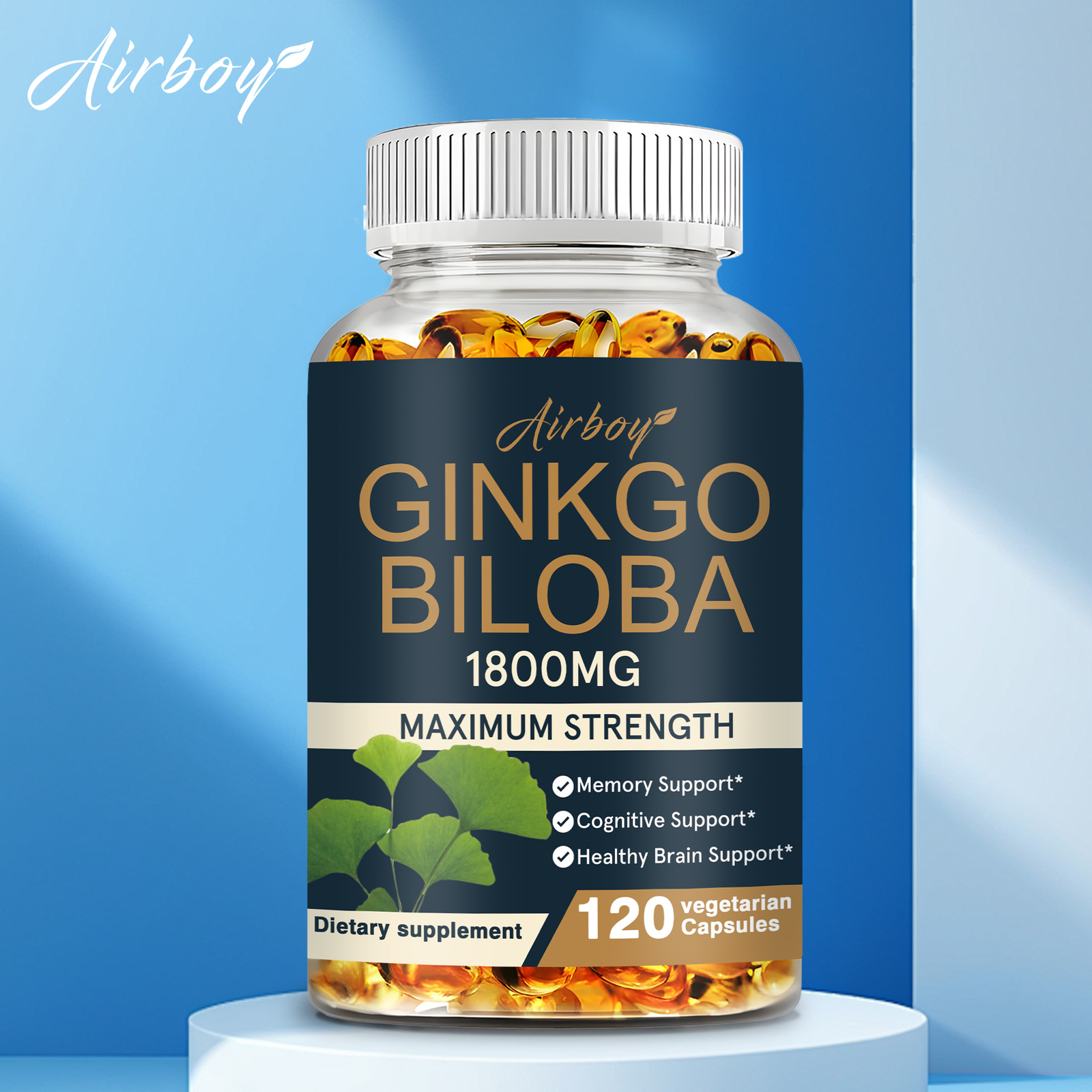 Ginkgo Bilo 1800mg – Healthy Brain, Improve Focus, Memory, and Overall Cognition
