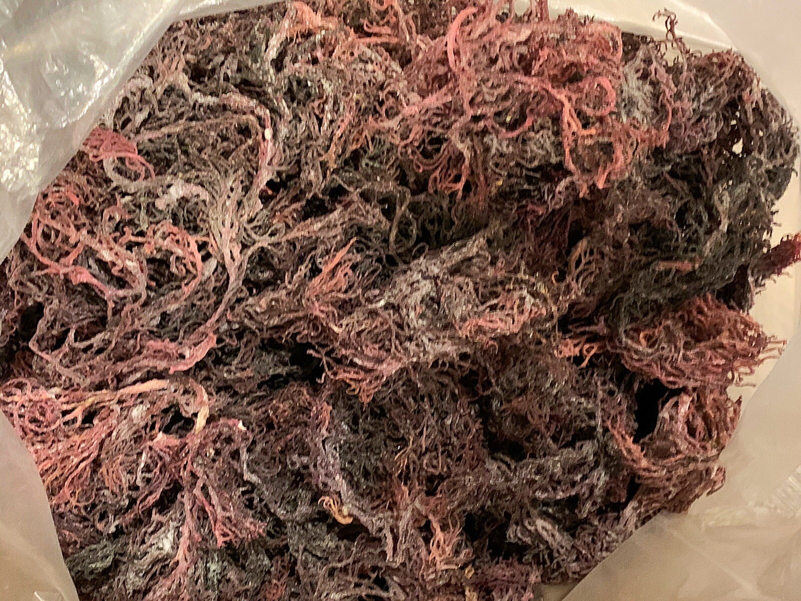 Raw Irish Sea Moss – Purple – Dr Sebi type – Irish Moss 3oz